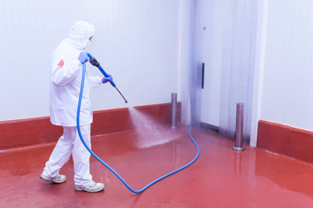Best Paint Preparation  in Harlan, IN