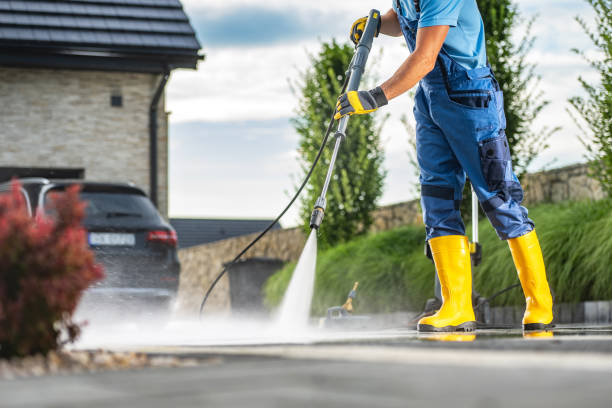 Best Roof Washing  in Harlan, IN